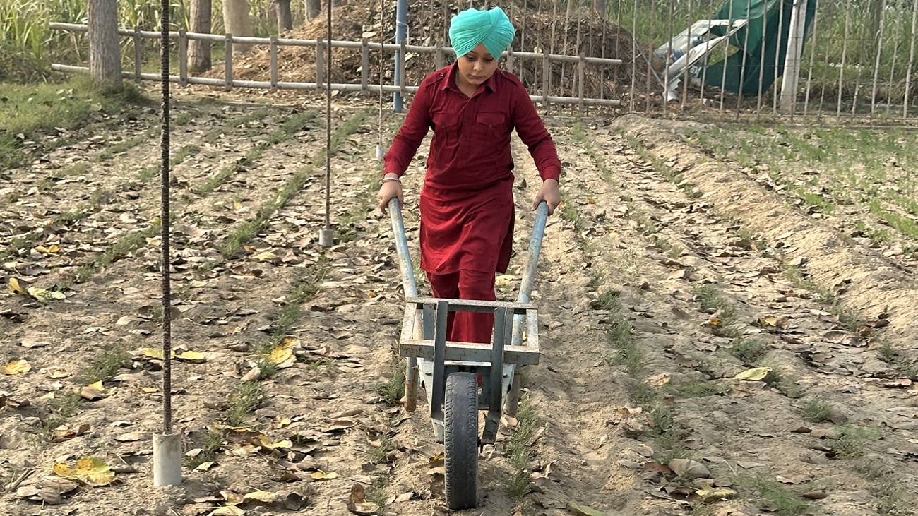 ਵੂਫਿੰਗ
(Wwoofing)